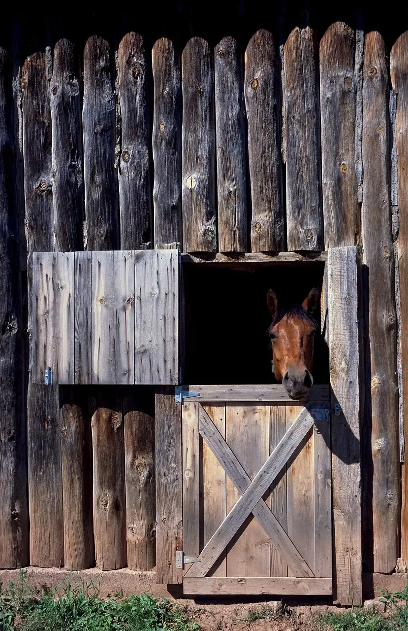 Häststall